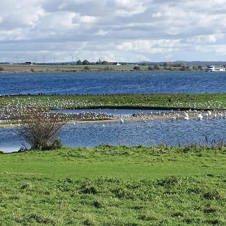 Сasa de vacaciones One-bedroom In *